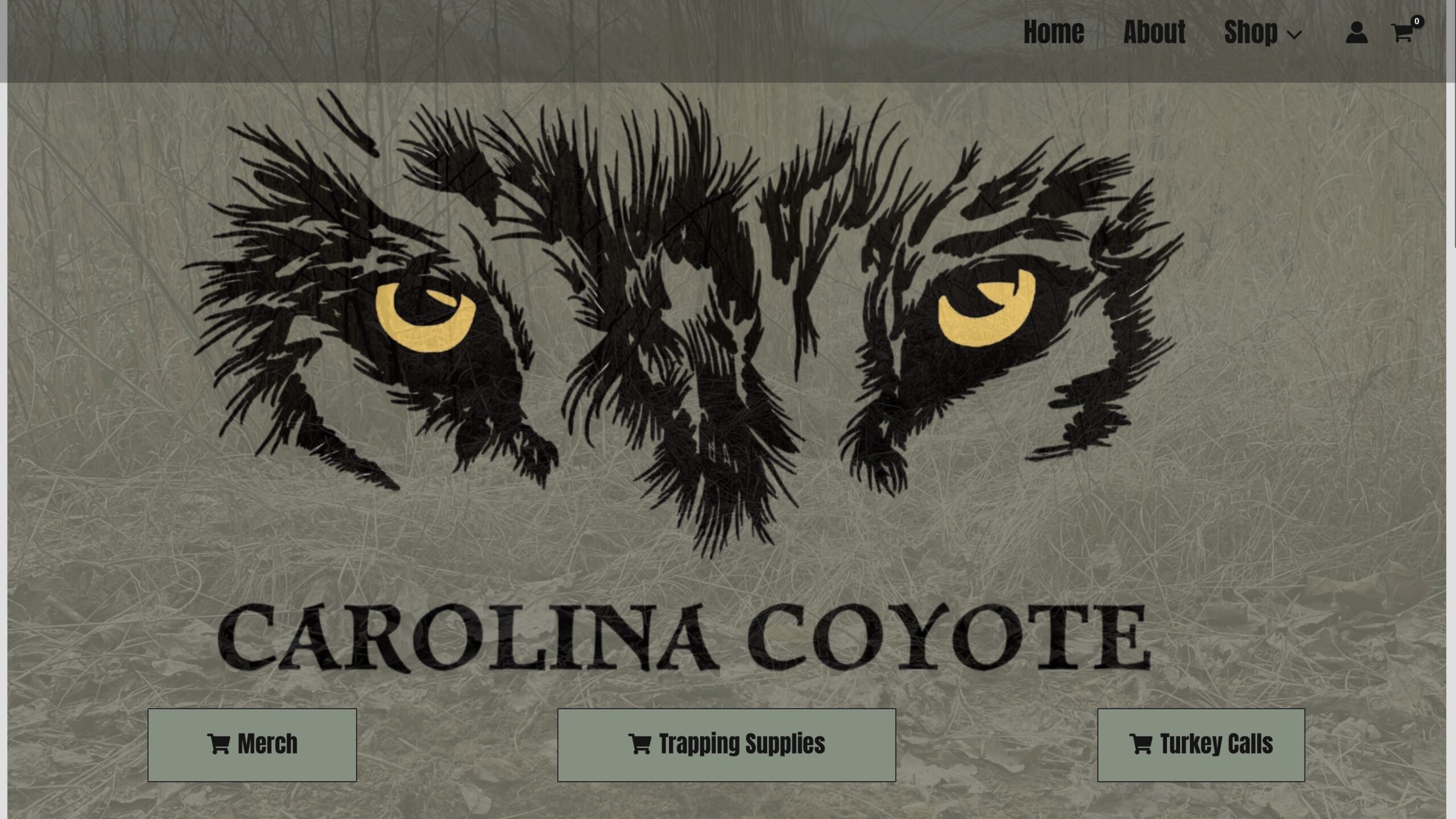 carolina coyote-min